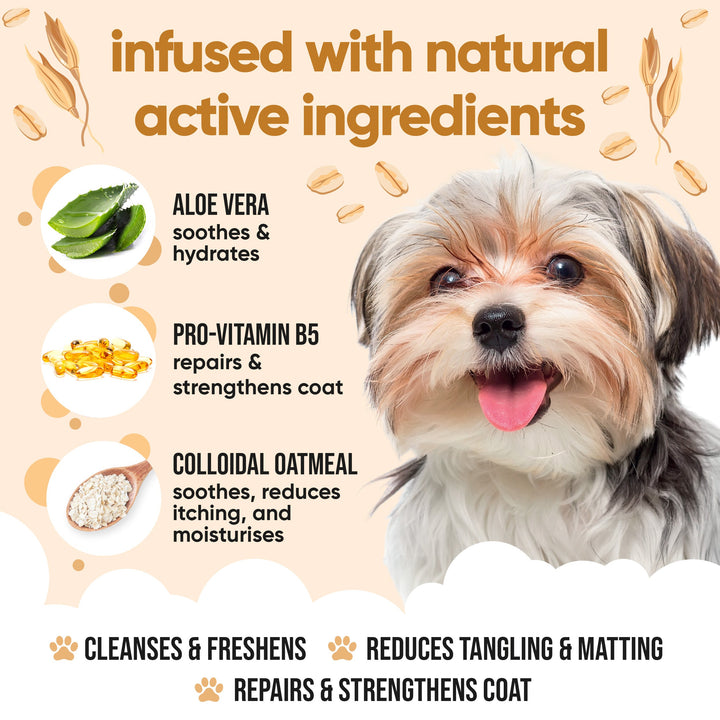 Buddycare Oatmeal Shampoo ingredients: aloe vera, pro vitamin B5 and colloidal oatmeal