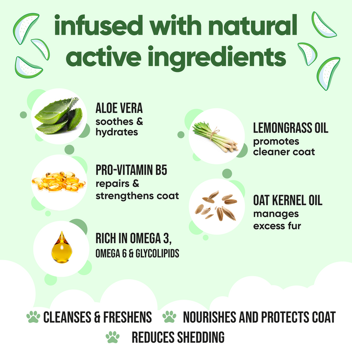Buddycare Shed Control Shampoo ingredients: aloe vera, lemongrass oil, pro vitamin B5, oat kernel oil, omega 3, 6 and 9