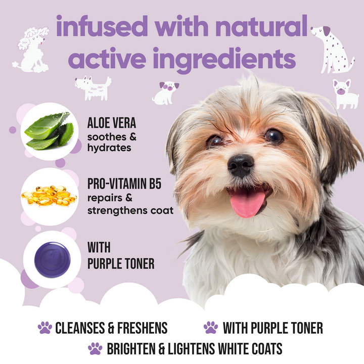 Buddycare White Dog Shampoo key ingredients: aloe vera, pro vitamin B5 and purple toner