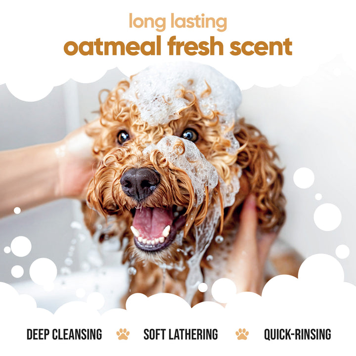 Dog being washed with Buddycare Oatmeal Shampoo, long lasting oatmeal fresh scent