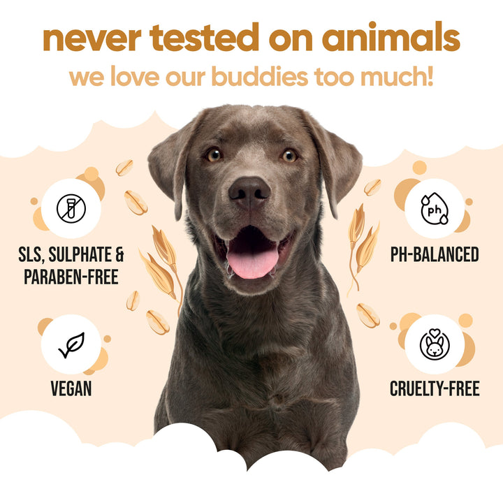 Buddycare Oatmeal Shampoo: SLS, sulphate and paraben free, vegan, cruelty free and pH balanced