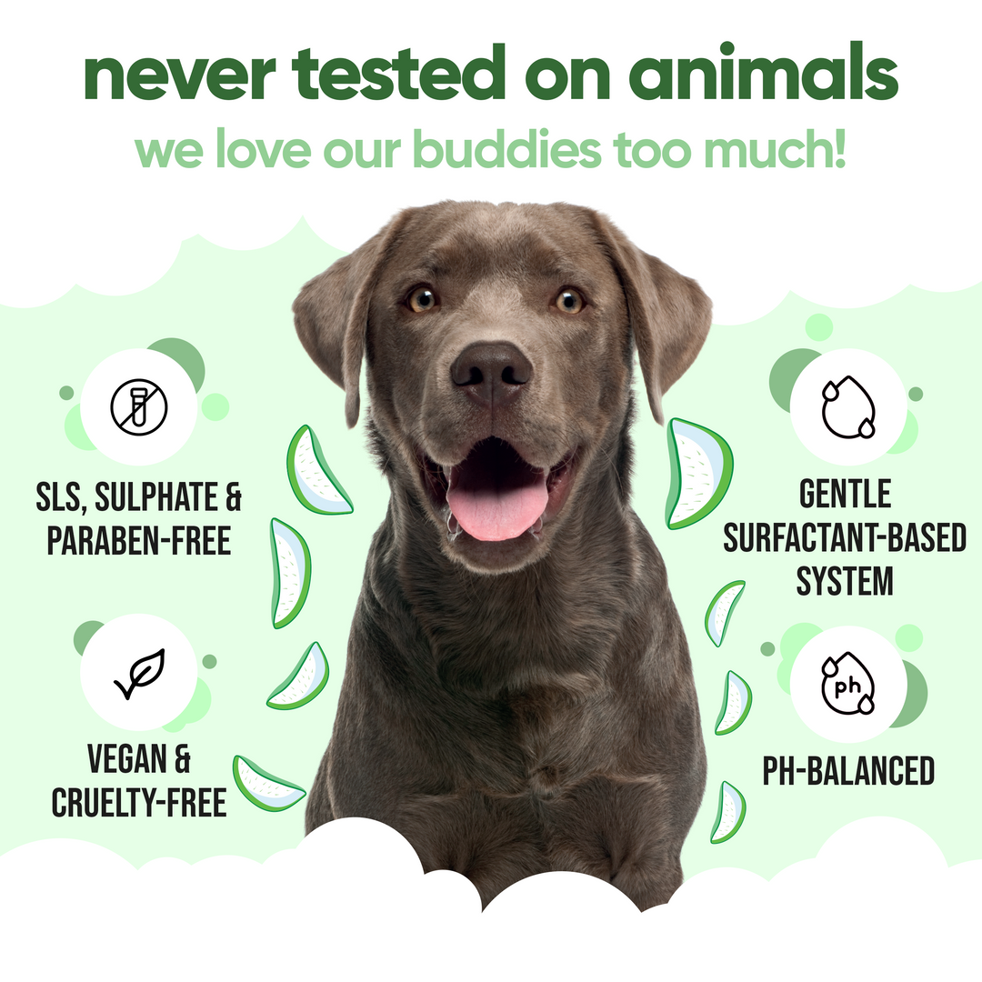 Buddycare shampoo never tested on animals: SLS, sulphate and paraben free, vegan, cruelty free, pH balanced