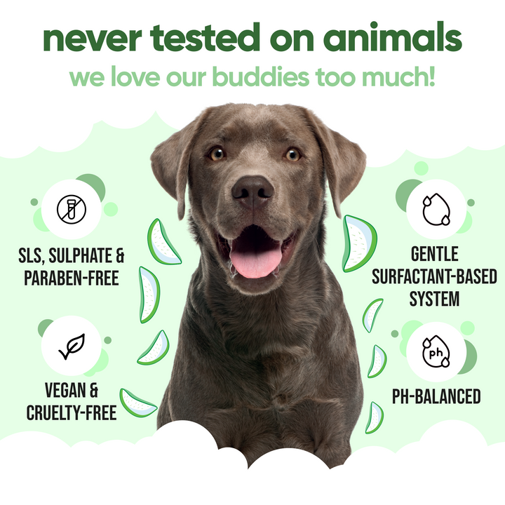 Buddycare shampoo never tested on animals: SLS, sulphate and paraben free, vegan, cruelty free, pH balanced