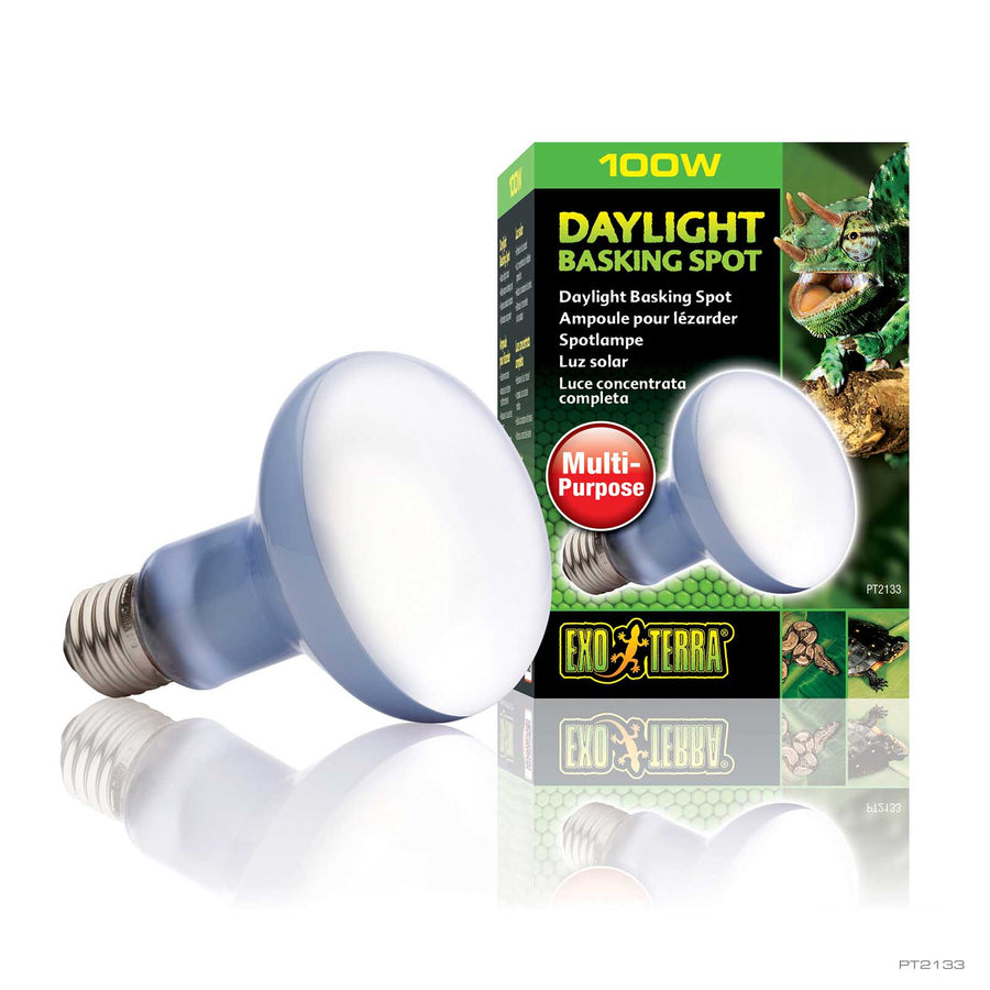 Exo Terra Daylight Basking Spot 100W bulb with box