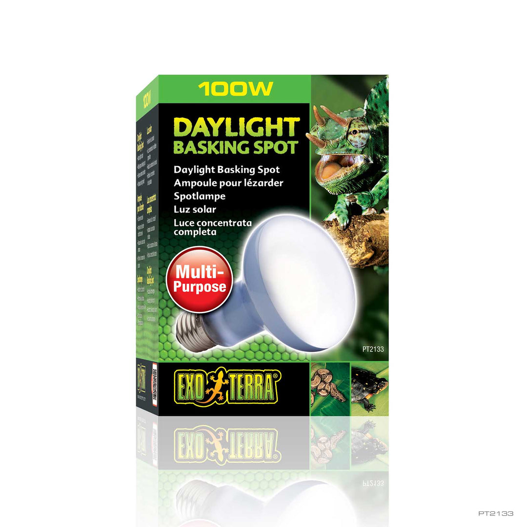 Exo Terra Daylight Basking Spot 100W retail box