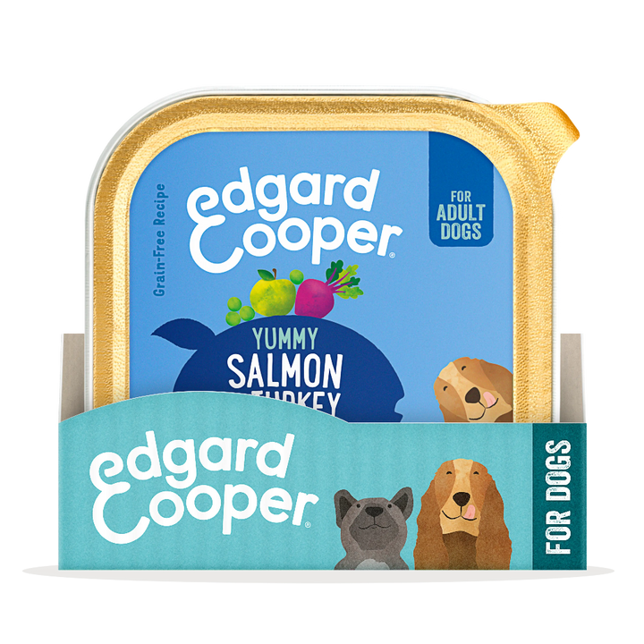 Pack_Dog_Adult_Salmon_Turkey