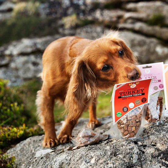 JR Pure Turkey Training Treats 85g