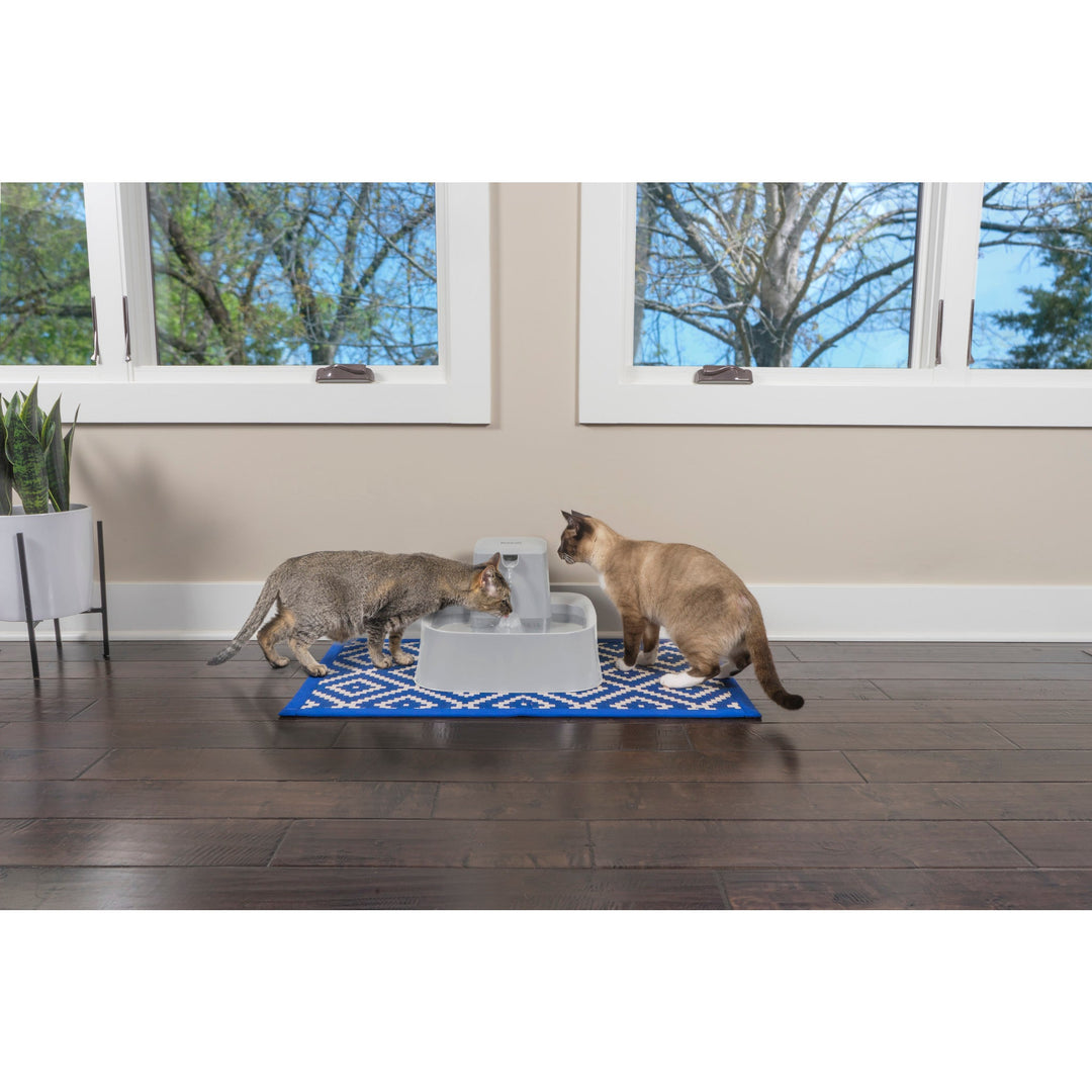 Two cats drinking together from the PetSafe Drinkwell 7.5 Litre Pet Fountain