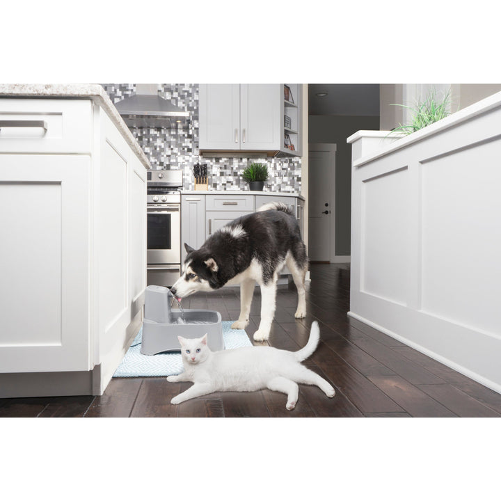 Dog and cat sharing the PetSafe Drinkwell 7.5 Litre Pet Fountain