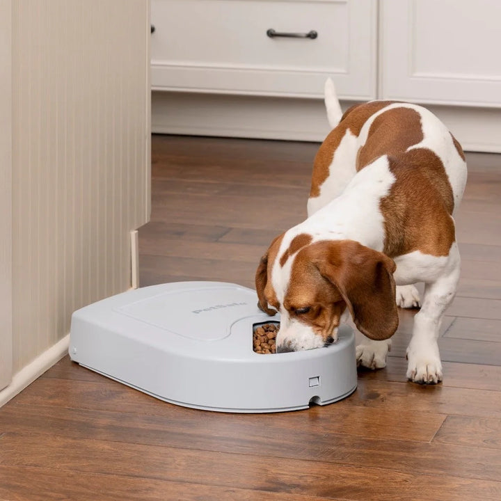 PetSafe 5-Meal Automatic Pet Feeder