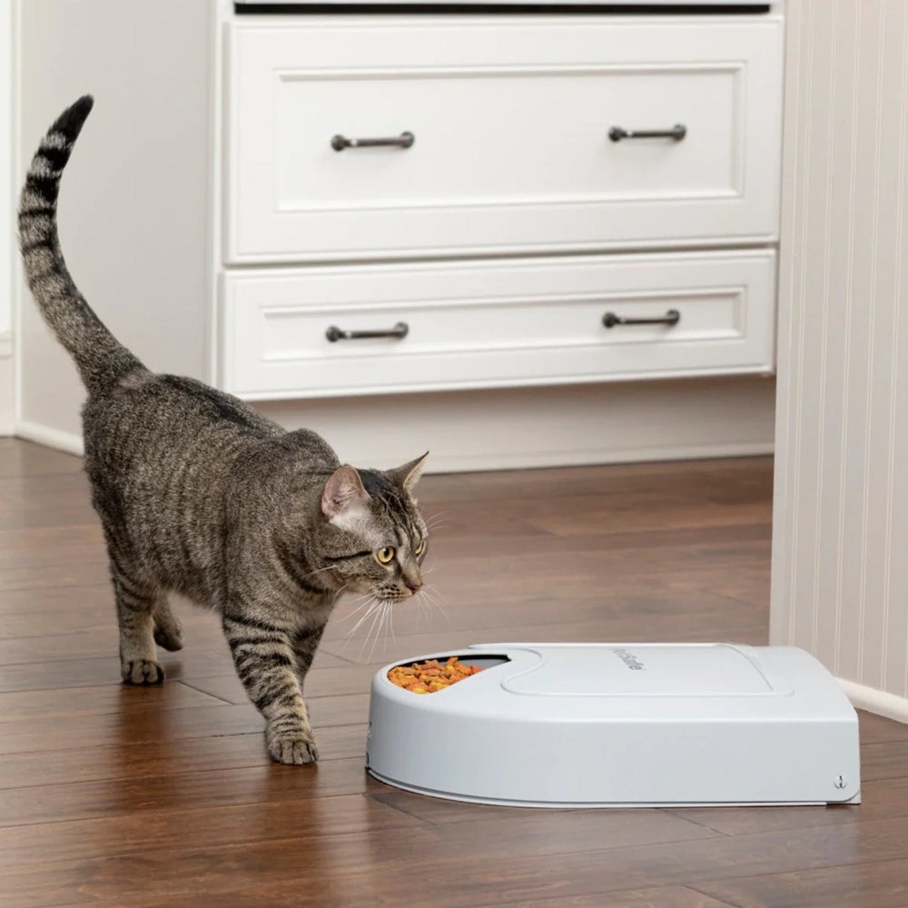 PetSafe 5-Meal Automatic Pet Feeder