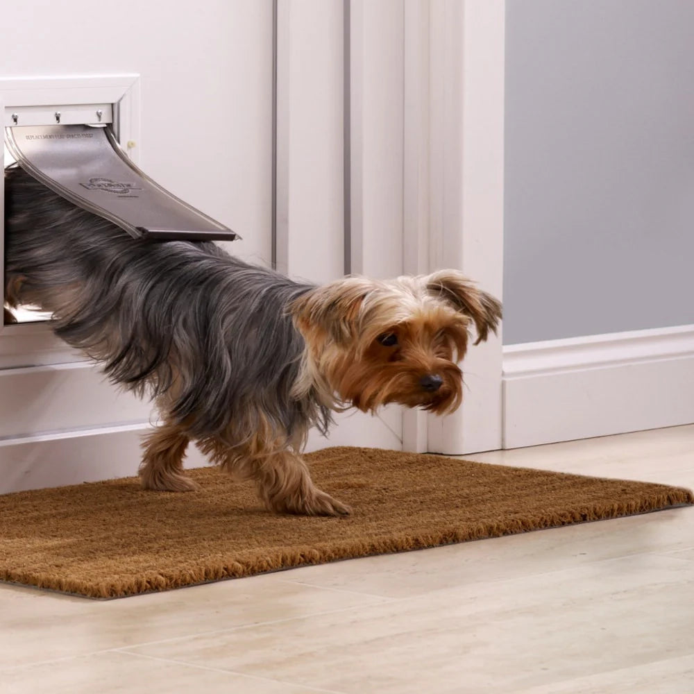 Small dog stepping through a pet door on a doormat.