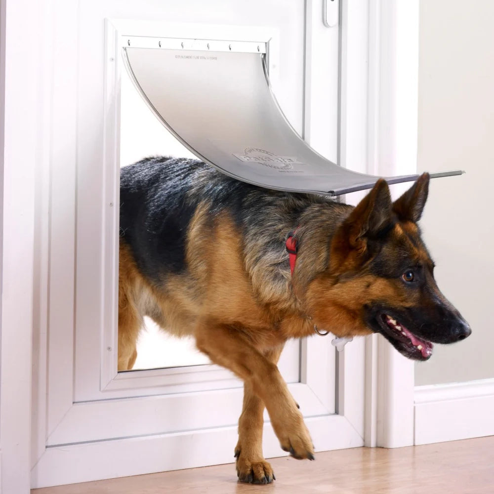 Dog using a pet door in a white door frame.