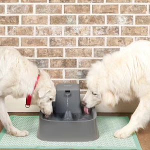 Petsafe Drinkwell 7.5 Litre Pet Fountain
