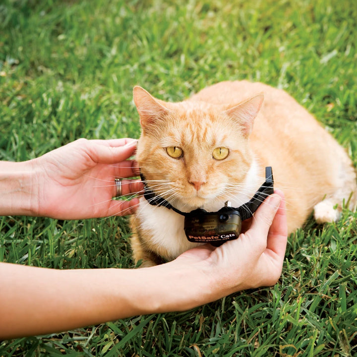 Petsafe Deluxe In-Ground Cat Fence System