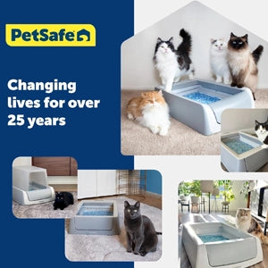 PetSafe ScoopFree Replacement Crystal Cat Litter Tray, 1 Pack