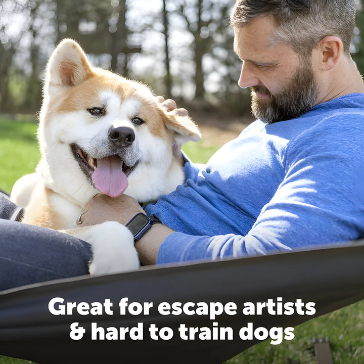 Petsafe Stubborn Dog In-Ground Fence System