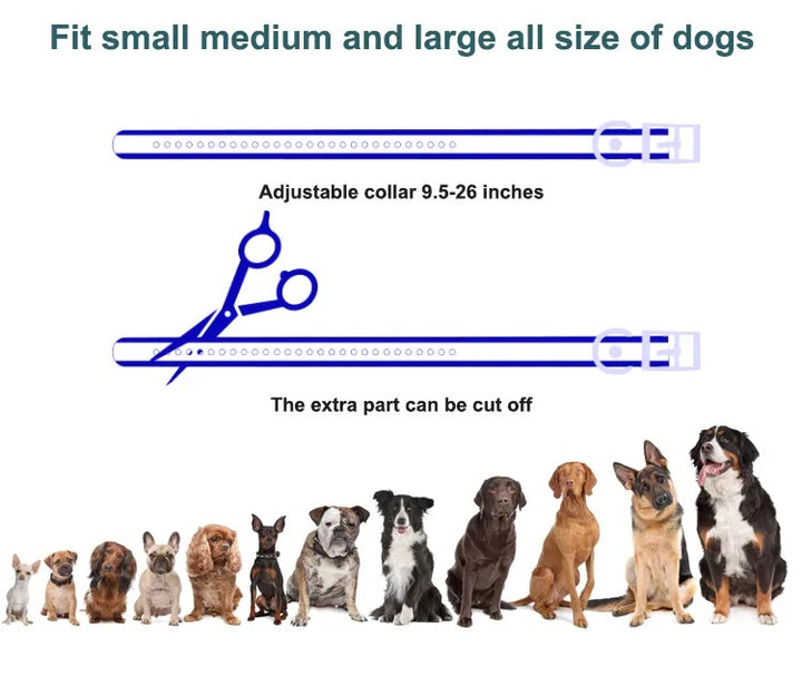 Pawguard Smart Trainer Pro Collar – 2‑in‑1 Remote Trainer & Auto Bark Control