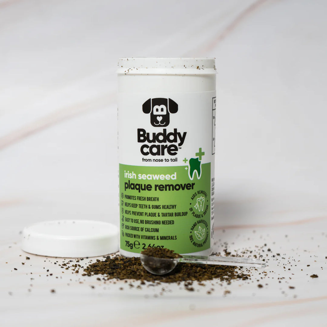 Buddycare Irish Seaweed Plaque Remover 75ml