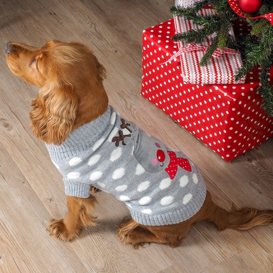 Polka Rudolph Jumper - PetWorld
