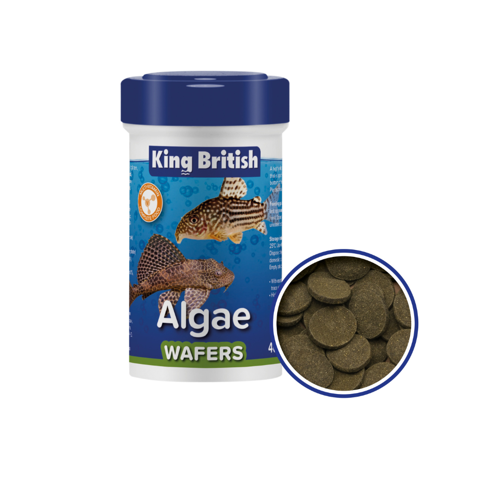 King British Algae Wafers 35gm