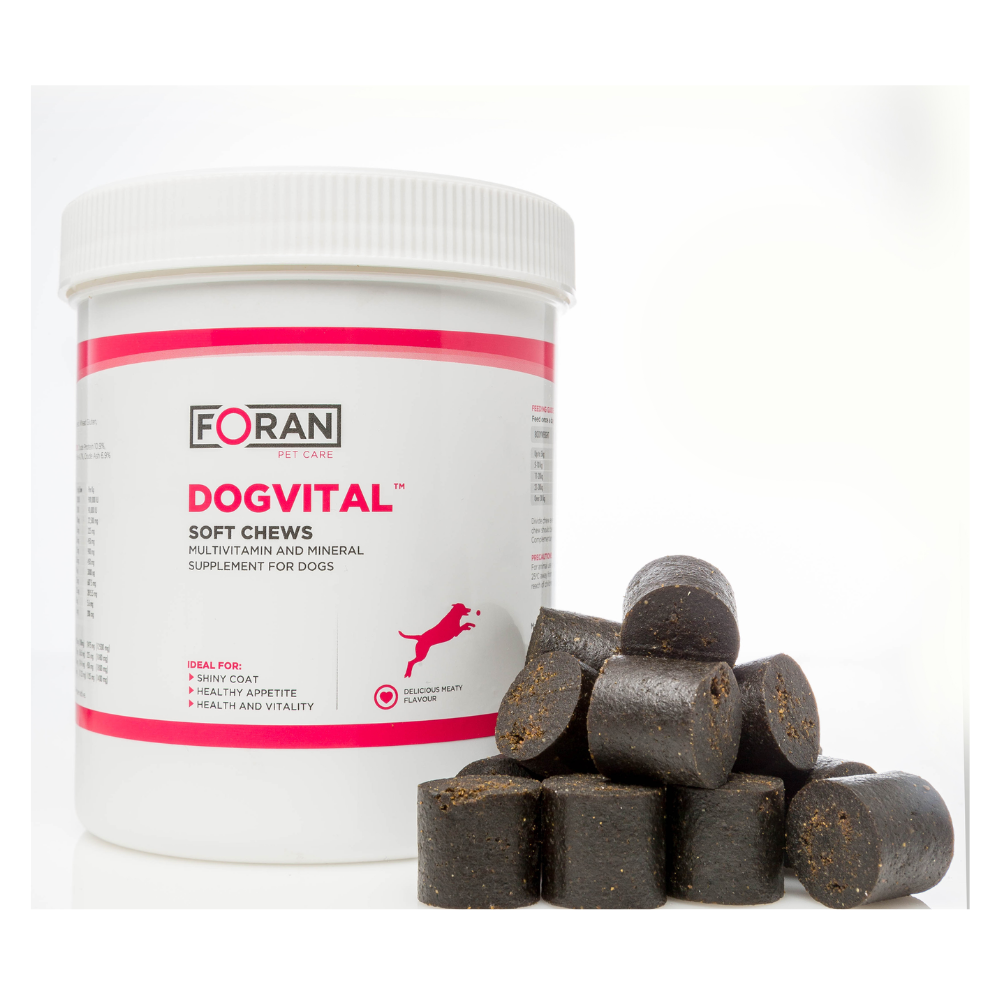 Dogvital Multivitmin Soft Chew for Dogs
