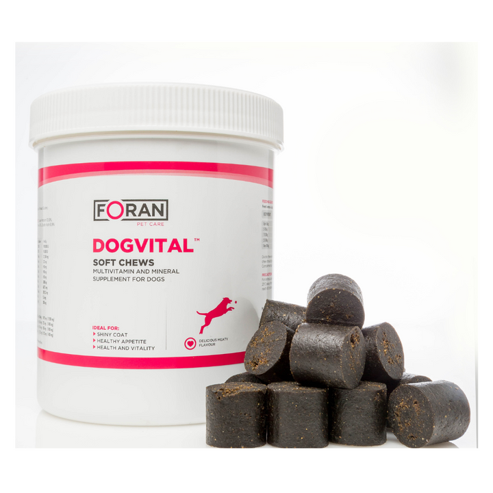 Dogvital Multivitamin Soft Chew for Dogs