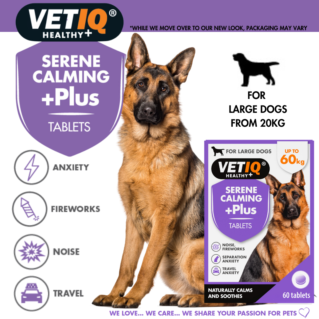 German Shepherd with VetIQ Serene Calming +Plus pack: for large dogs from 20kg, helps with anxiety, fireworks, noise and travel