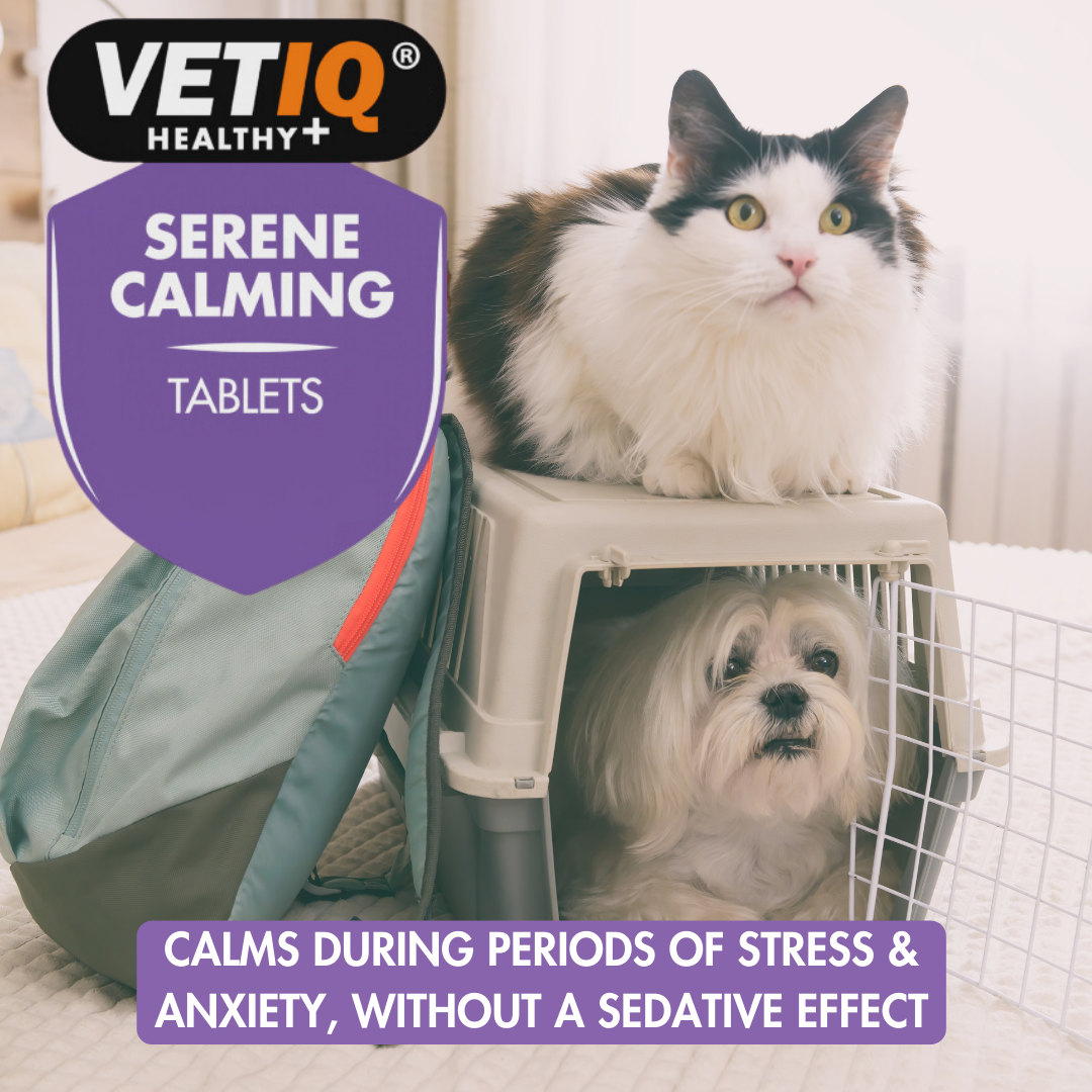 VetIQ Serene Calming Tablets calm cats and dogs during stress and anxiety without a sedative effect