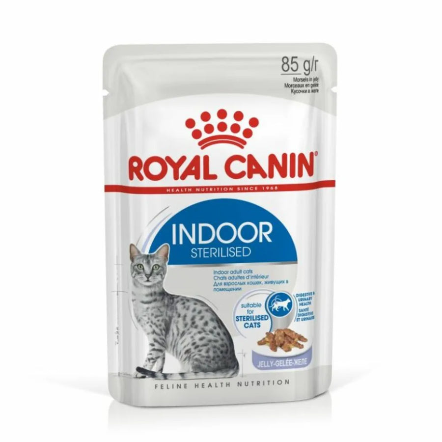 Royal Canin Indoor Morsels in Jelly wet cat food pouch for adult indoor cats.