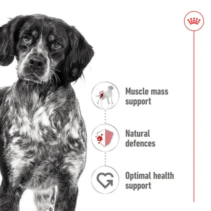 Royal Canin Wet Dog Food Features