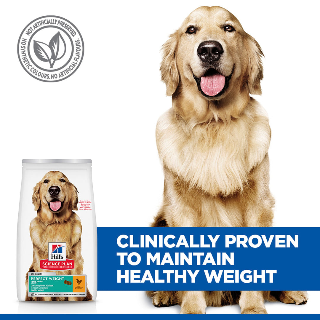 Hill's Science Plan Perfect Weight Large Breed, clinically proven to maintain healthy weight