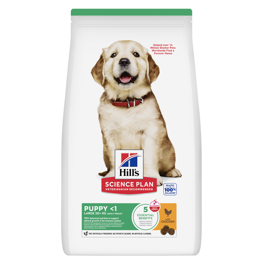 Hill's Science Plan Puppy Large Breed with Chicken dry dog food bag, front of pack