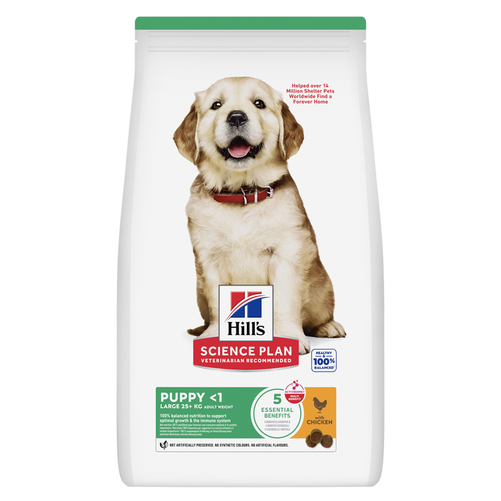 Hill's Science Plan Puppy Large Breed with Chicken dry dog food bag, front of pack