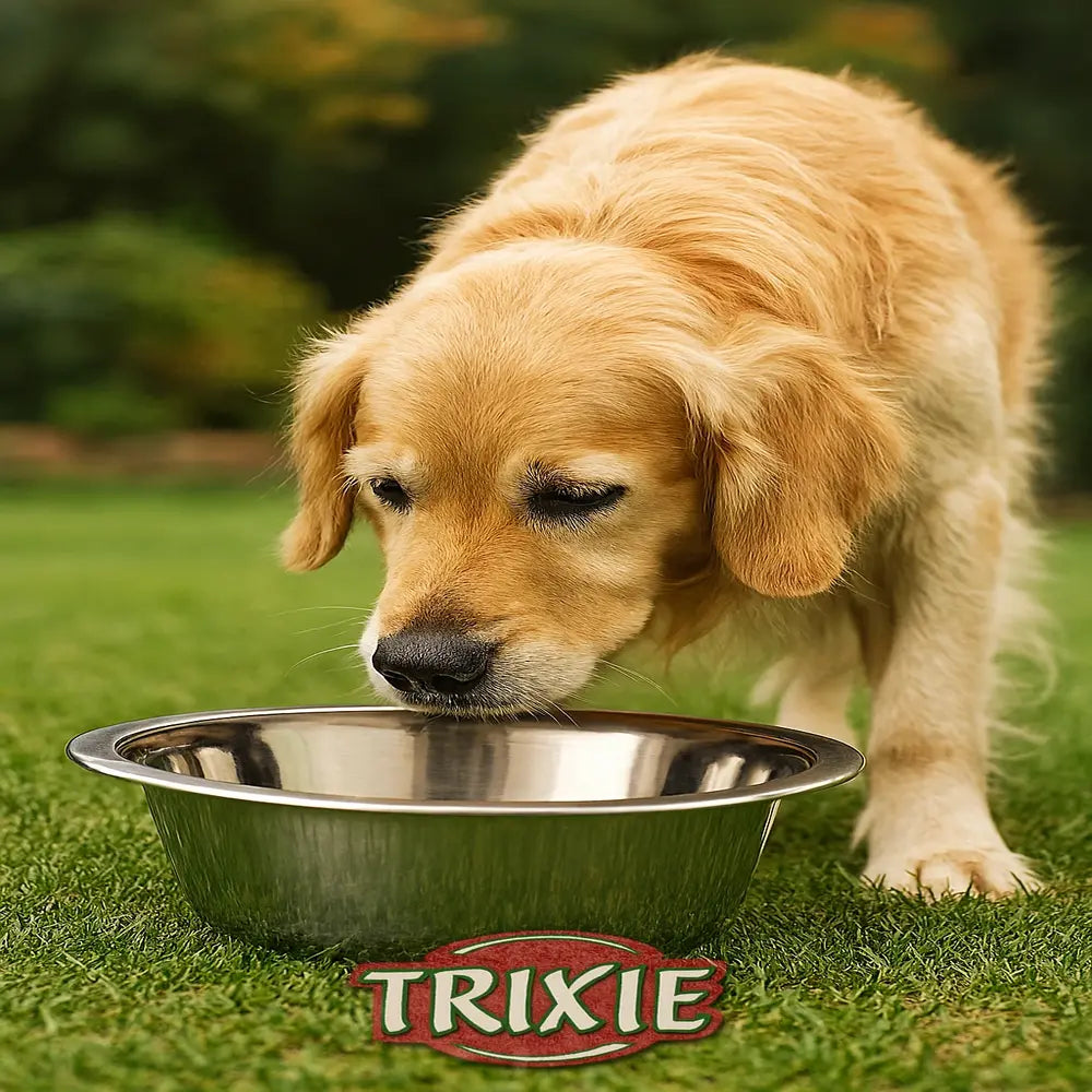 Stainless steel pet dish

