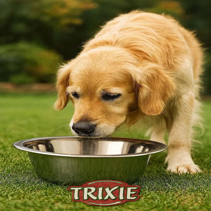 Stainless steel pet dish

