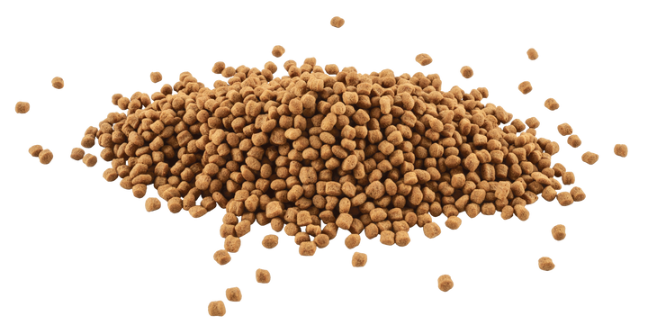 Tetra Goldfish Sticks floating food sticks close up