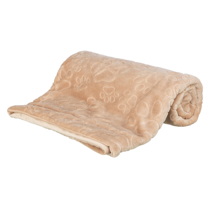 Barry Blanket Soft Plush