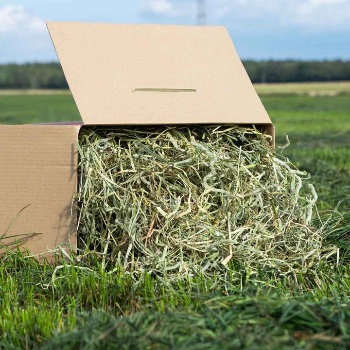 Tasty Timothy Hay