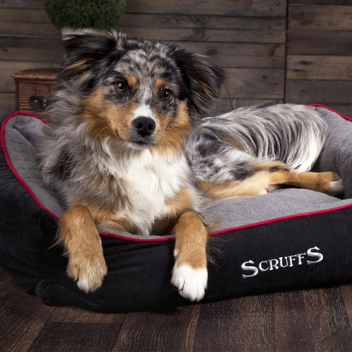 Scruffs Thermal Self Heating Bed