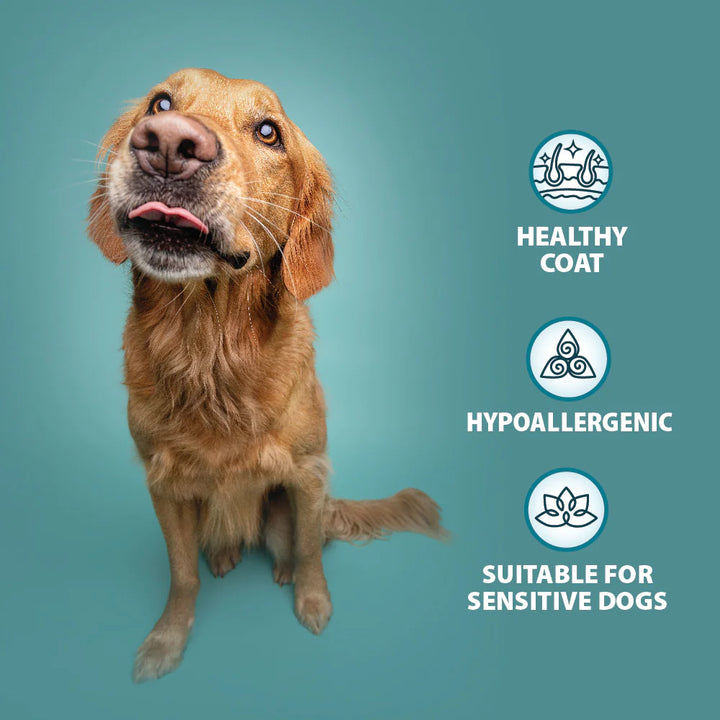 Burns Variety Multi Box Wet Food