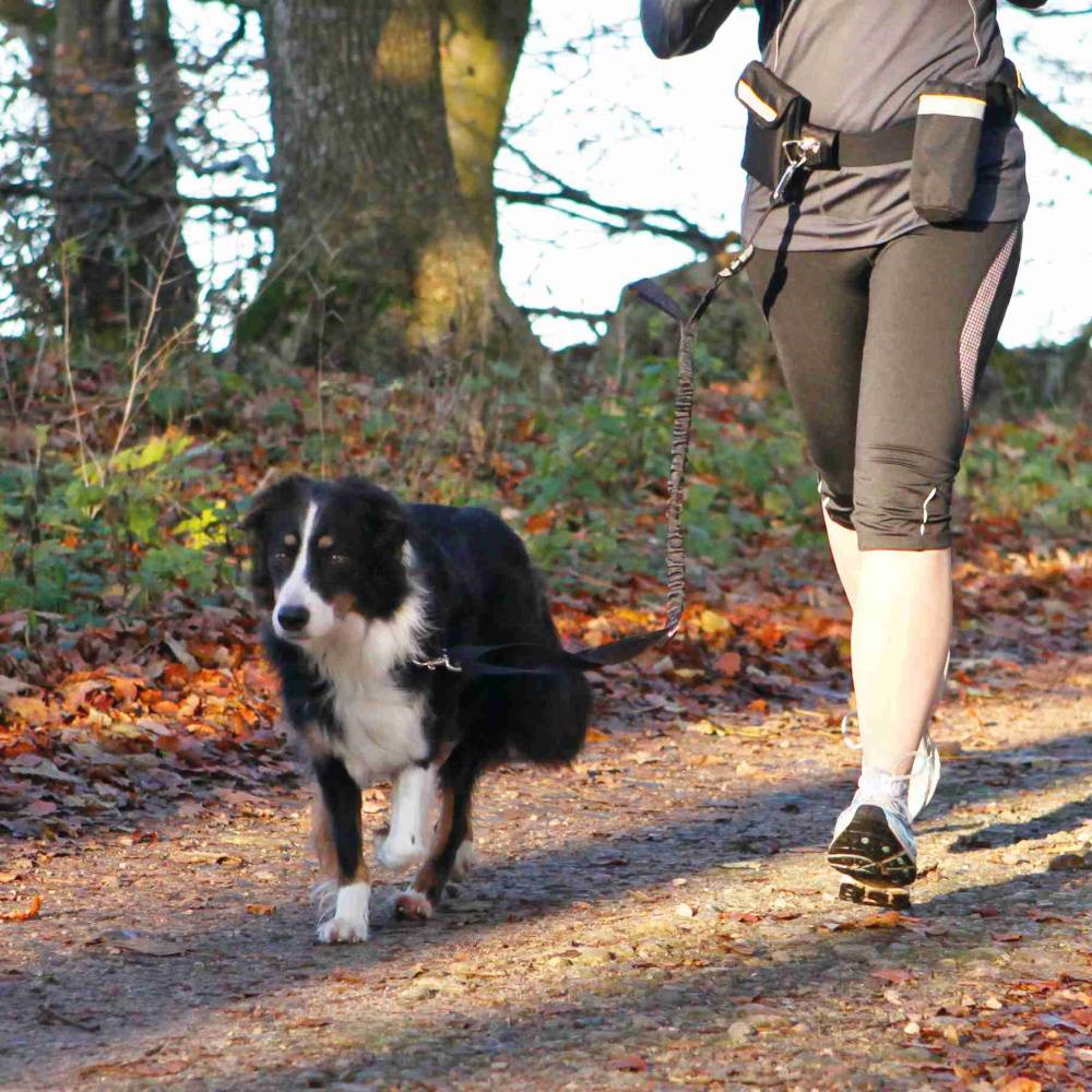 Trixie Hands Free Dog Lead Jogging Leash