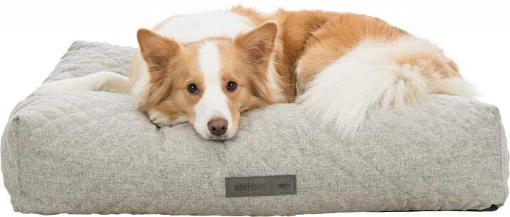 Noah Vital Orthopaedic Cushion - PetWorld