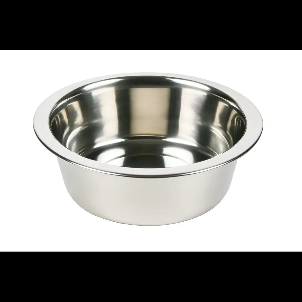 Cat and dog bowl silver