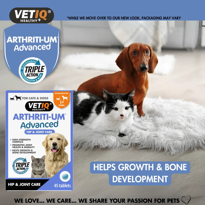 Dog and cat with VETIQ Arthriti-UM Advanced, helps growth and bone development