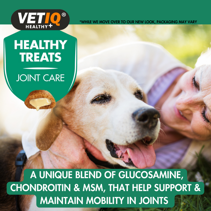 Senior dog with owner, VETIQ Healthy Treats Joint Care with glucosamine, chondroitin and MSM