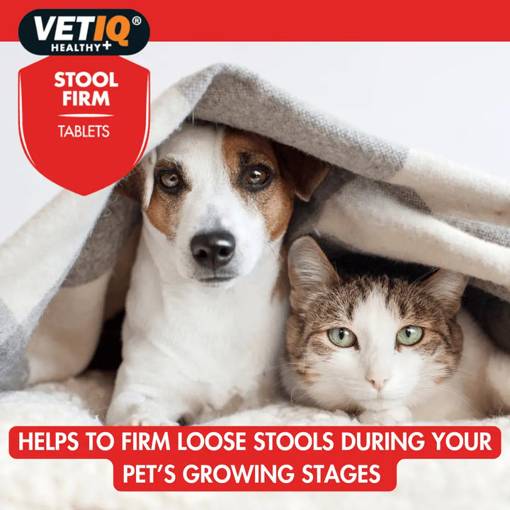 Dog and cat under a blanket: VetIQ Stool Firm helps firm loose stools during your pet's growing stages