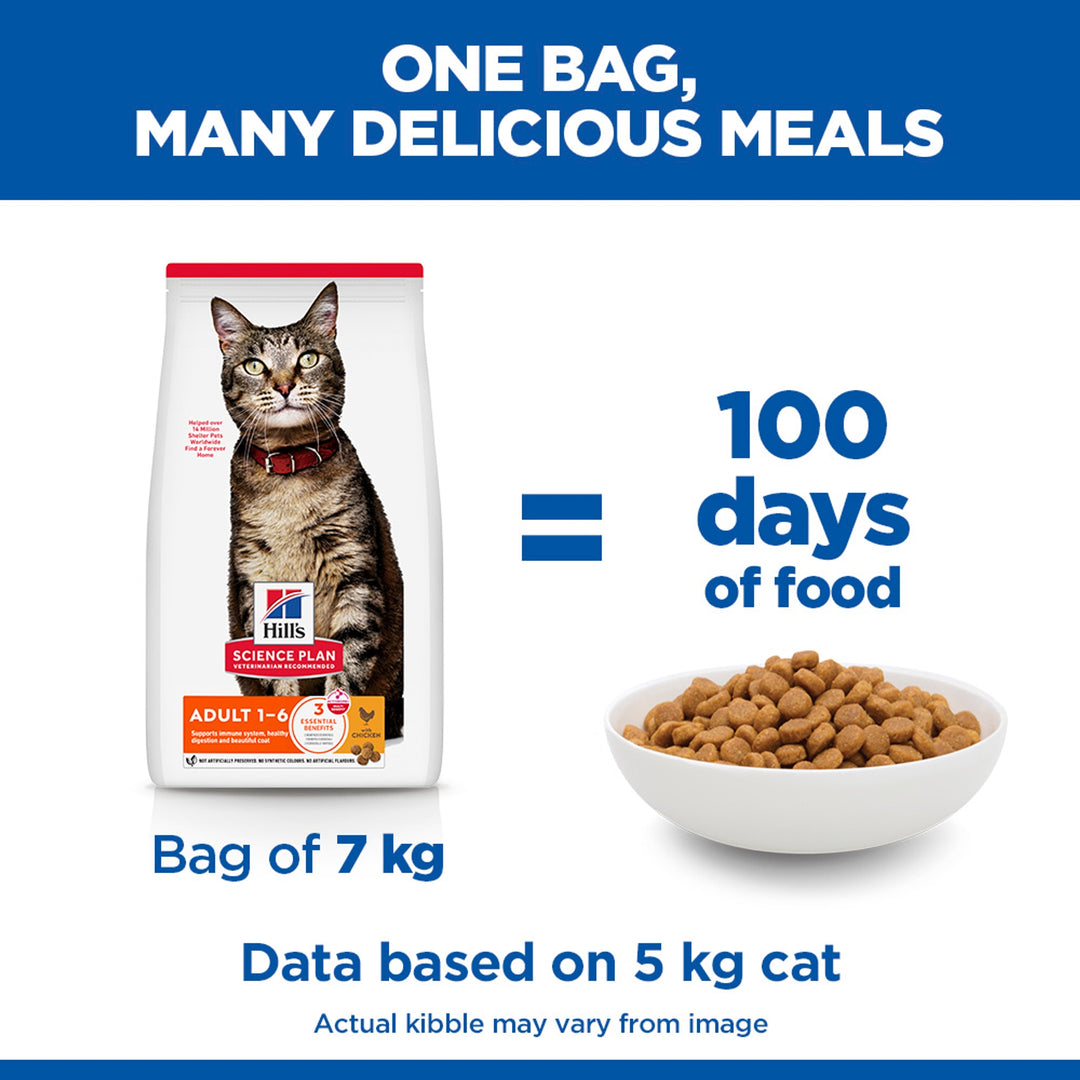 Hill's Science Plan Adult cat food with chicken 7kg bag gives about 100 days of food for a 5kg cat