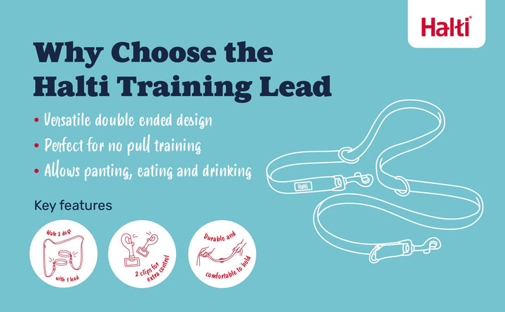 Halti Dog Training Lead