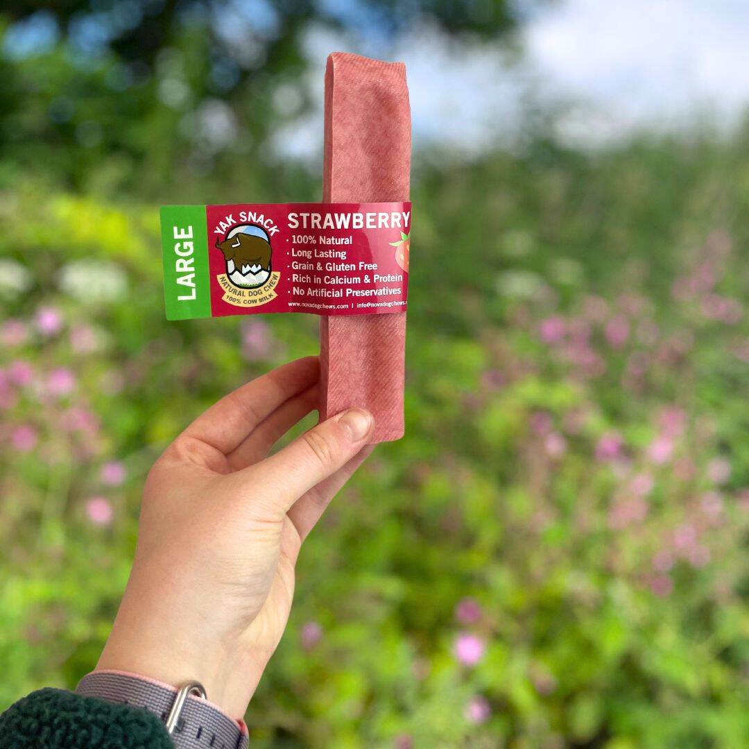 Himalayan Yak Snack Dog Treat